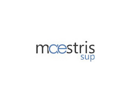 MAESTRIS Premium Formation logo